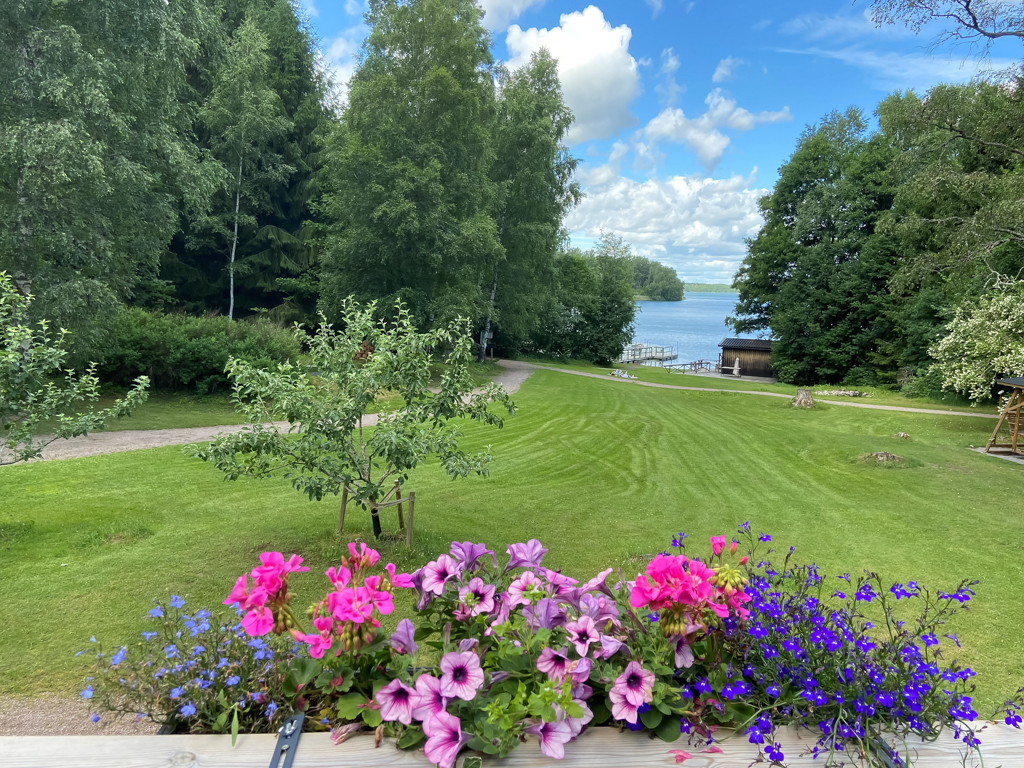 Utsikt över gräsmatta och sjö, med blomlåda i förgrunden fylld med rosa och blå blommor.